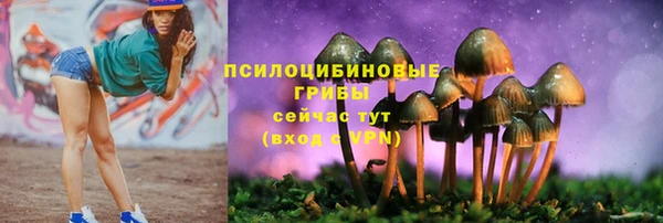 мяу мяу мука Алексеевка
