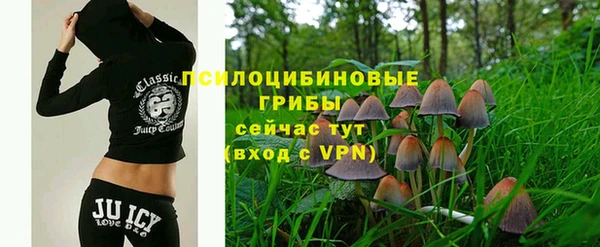 мяу мяу мука Алексеевка